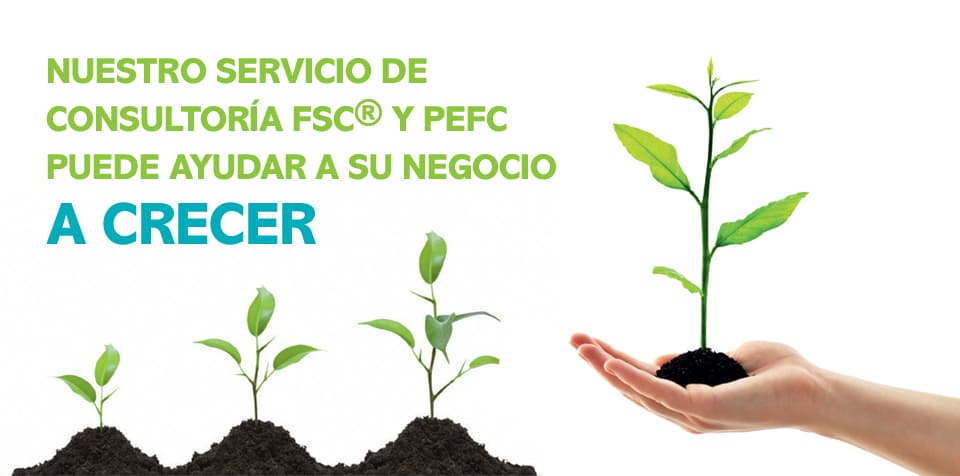 Servicio de Consultoría