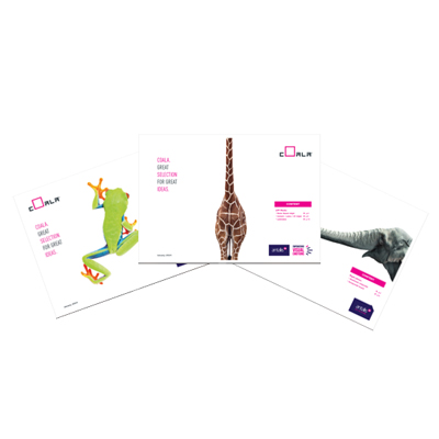 Coala Cuadros de Gama