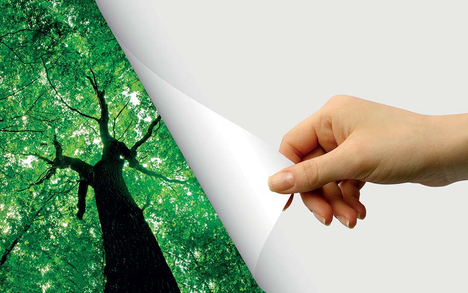 Asesoramiento eco-responsable