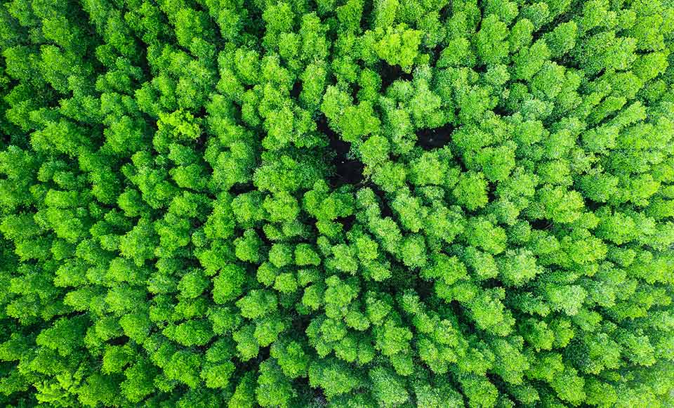 Formación medioambiental