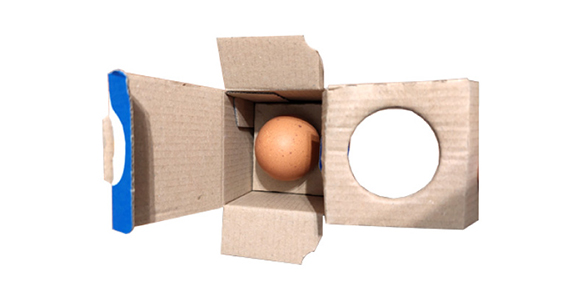 Old egg box