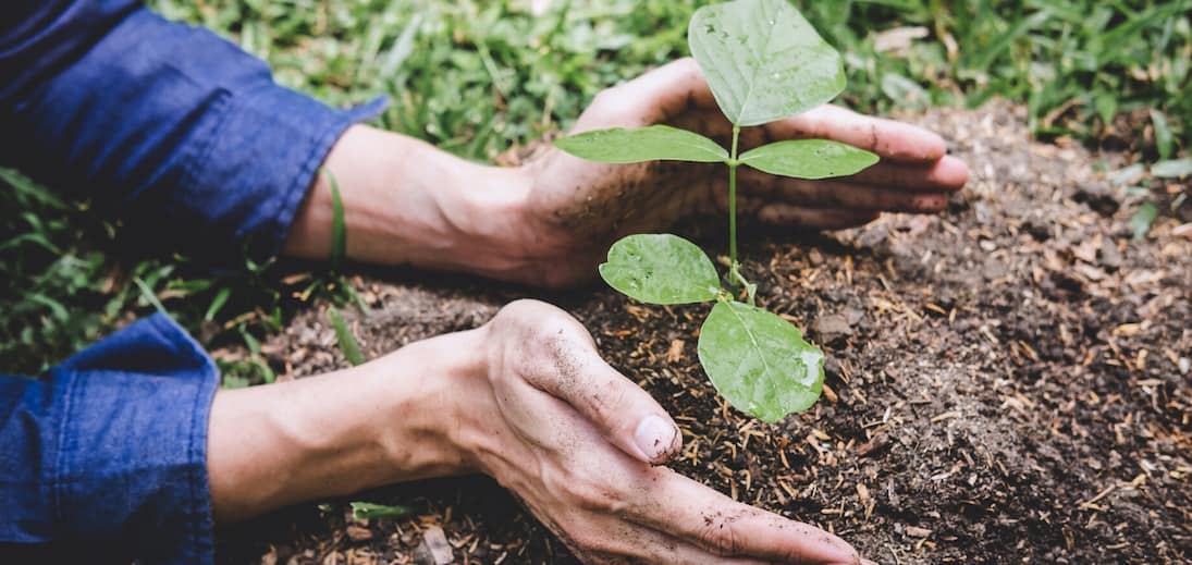 eco-friendly-packaging