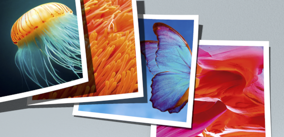 100% Cocoon, 100% completo.