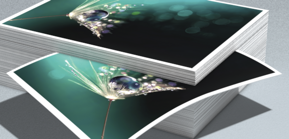 100 % Cocoon, 100 % impresión de alta calidad.