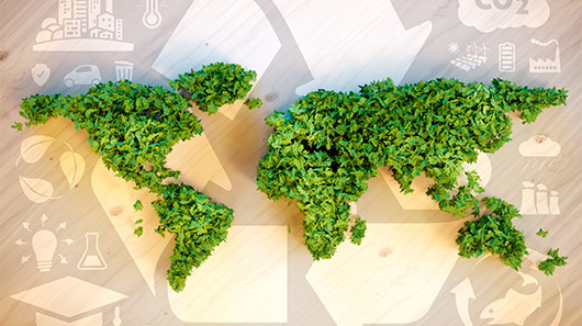 Olin, comprometida con el medioambiente