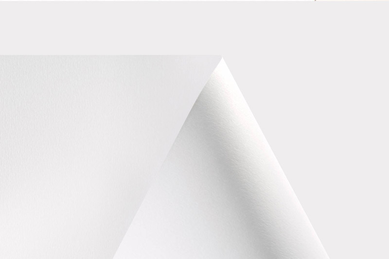 Olin y el medioambiente