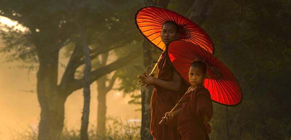 Volumen y opacidad excepcionales