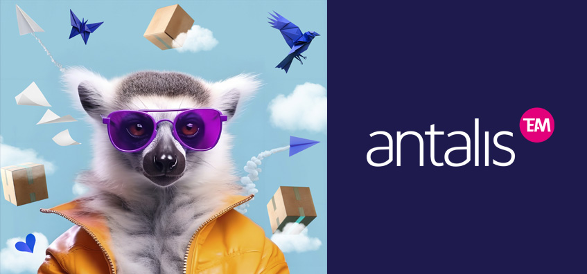 Antalis: líder en distribución de Papel, soluciones integrales de Embalaje y Comunicación Visual