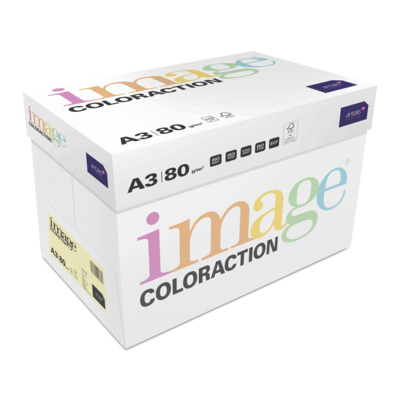 Image Coloraction (reprográfico)