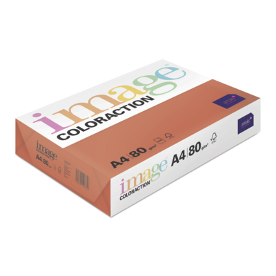 Image Coloraction (reprográfico)