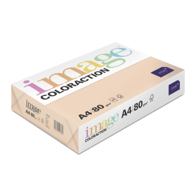 Image Coloraction (reprográfico)