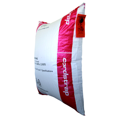 Bolsas hinchables para contenedores (Air Bags)