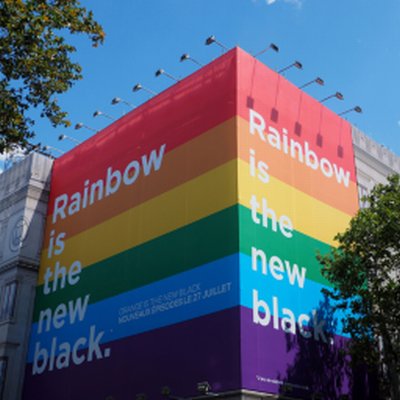 Coala Mesh Backing Daily S