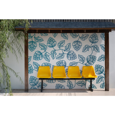 Arlon DPF 8000 Clear