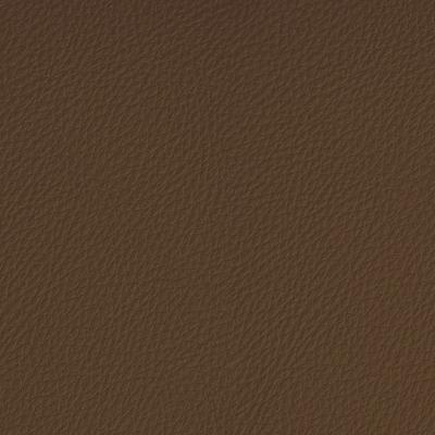 Coala Interior Film Tela