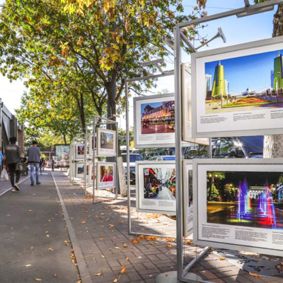 Coala Anti-Graffiti Premium Lam