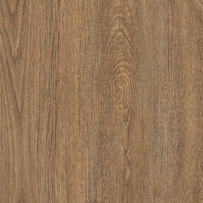 Coala Interior Film Madera