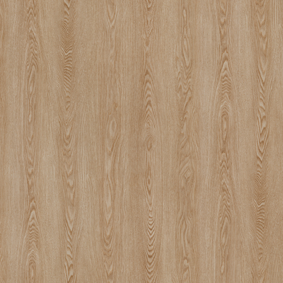 Coala Interior Film Madera