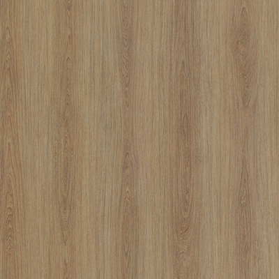 Coala Interior Film Madera