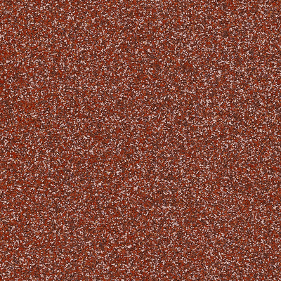 Coala Interior Film Brillante