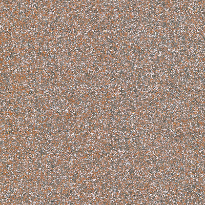 Coala Interior Film Brillante