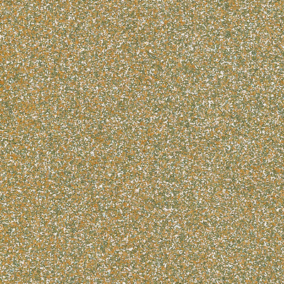Coala Interior Film Brillante