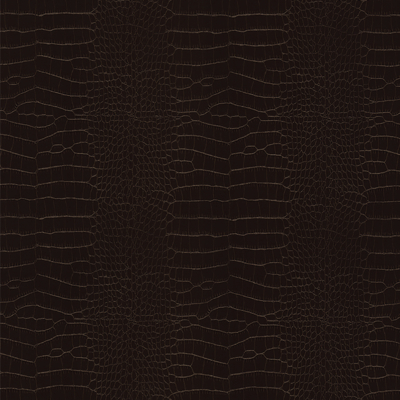Coala Interior Film Cuero