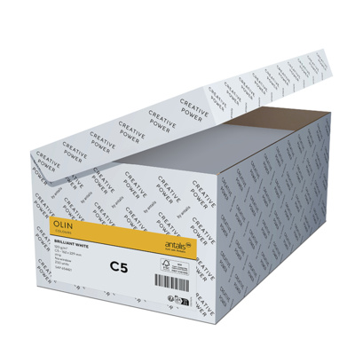 Olin Colours Envelopes