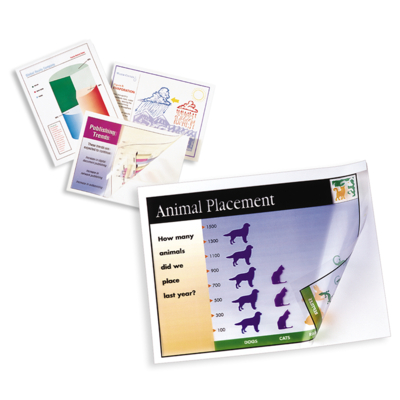 Xerox Transparencias Universal