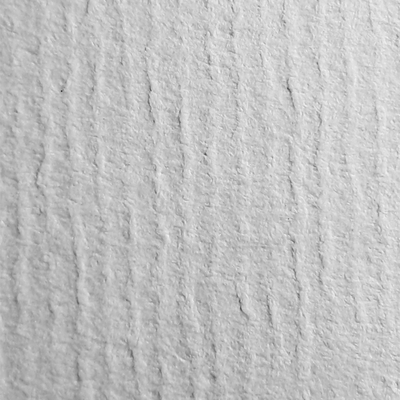 Raflatac Classic Laser HS