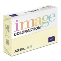 Image Coloraction (reprográfico)