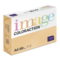 Image Coloraction (reprográfico)