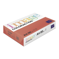 Image Coloraction (reprográfico)
