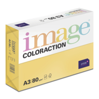 Image Coloraction (reprográfico)