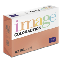 Image Coloraction (reprográfico)