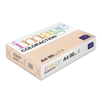 Image Coloraction (reprográfico)