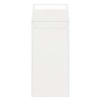 Olin Colours Envelopes