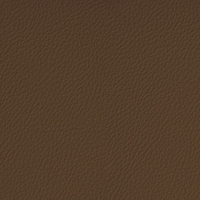 Coala Interior Film Tela