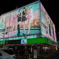 Coala Backlit Daily S