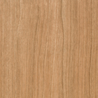 Coala Interior Film Madera