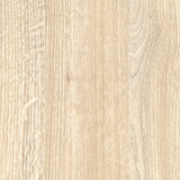 Coala Interior Film Madera