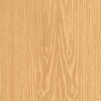Coala Interior Film Madera