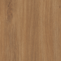 Coala Interior Film Madera