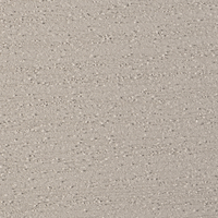 Coala Interior Film Madera
