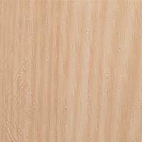 Coala Interior Film Madera