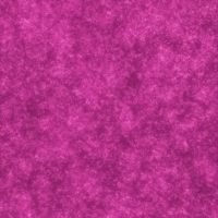 Coala Interior Film Brillante