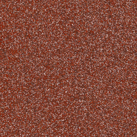 Coala Interior Film Brillante