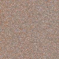 Coala Interior Film Brillante
