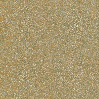 Coala Interior Film Brillante