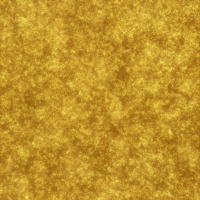 Coala Interior Film Brillante
